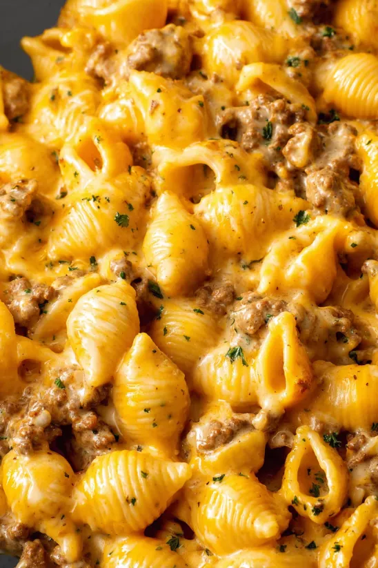 Ein Hamburger-Topf mit Pasta und Fleisch.
