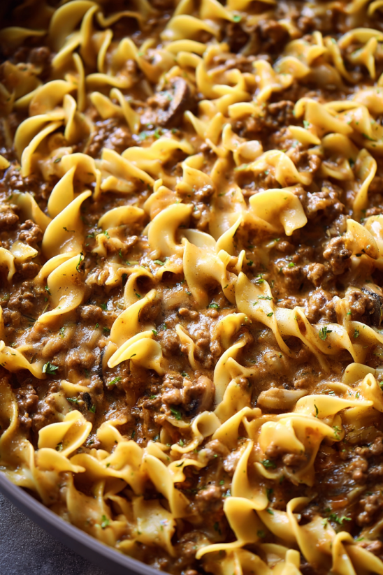 Eine Schüssel mit einer Mischung aus Nudeln, Beef Stroganoff und Zwiebeln.